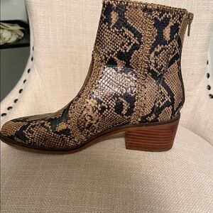 Chelsea & Violet Snake-Print Ankle Boot in Brown and Black